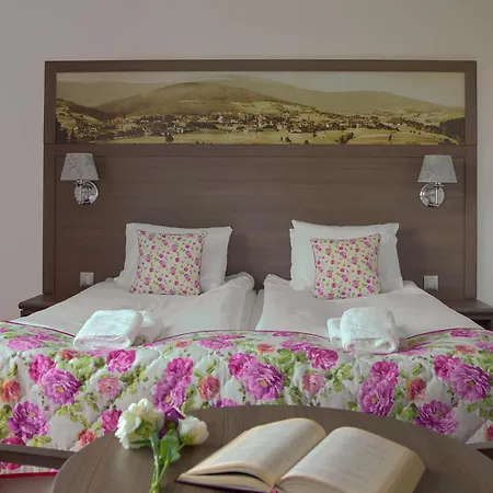 Buczyński****medical&spa 4* Świeradów-Zdrój